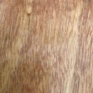 Meet your Posher, Dalia